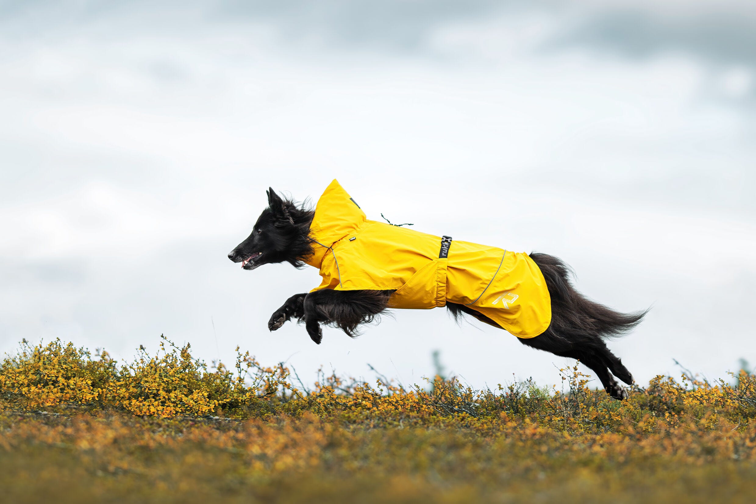 Rukka raincoat online